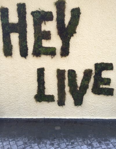 Geneviève Capitanio