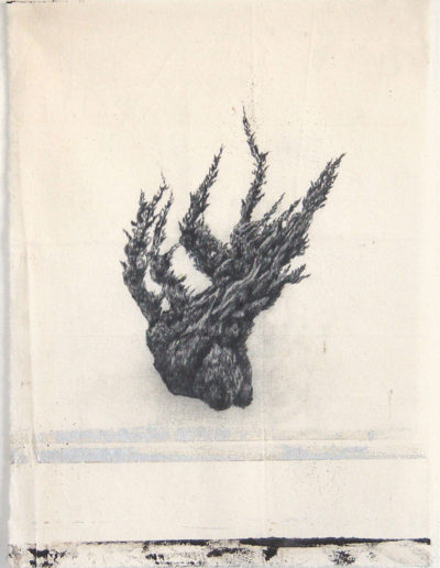 Geneviève Capitanio