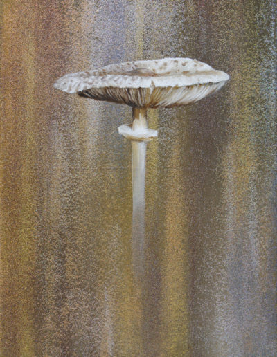 Geneviève Capitanio