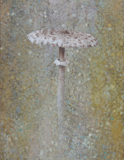 Geneviève CAPITANIO